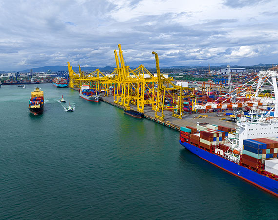 Importación